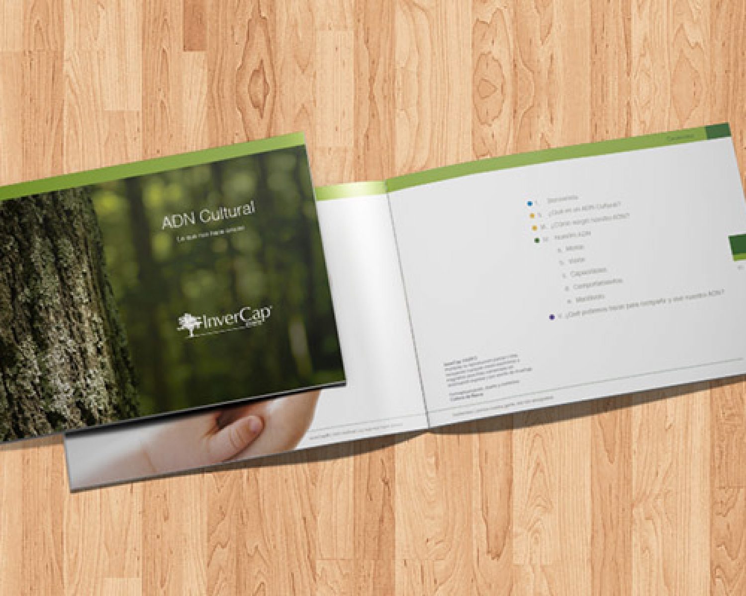 cde_Invercap00_3_640