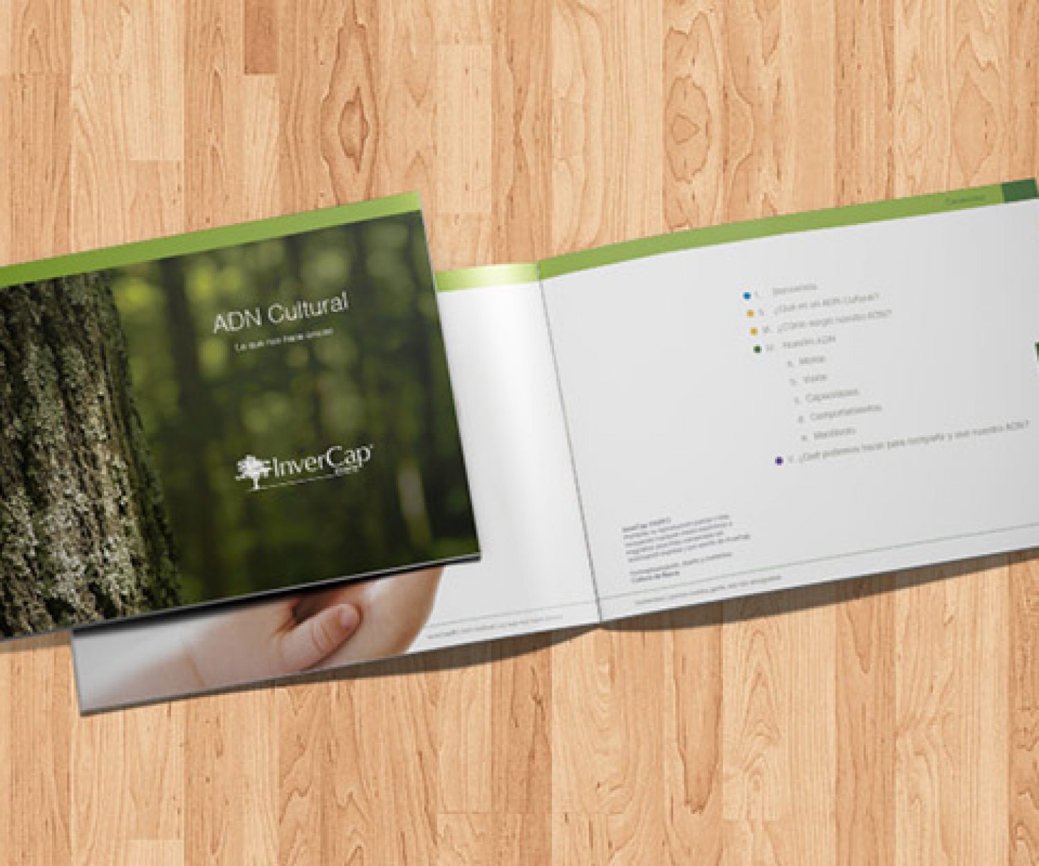 cde_Invercap00_3_640